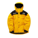 The North Face Mountain Guide GORE-TEX¨ Insulated Jacket