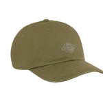 Dickies Dad Cap UNISEX - Casquette - Olive Dickies