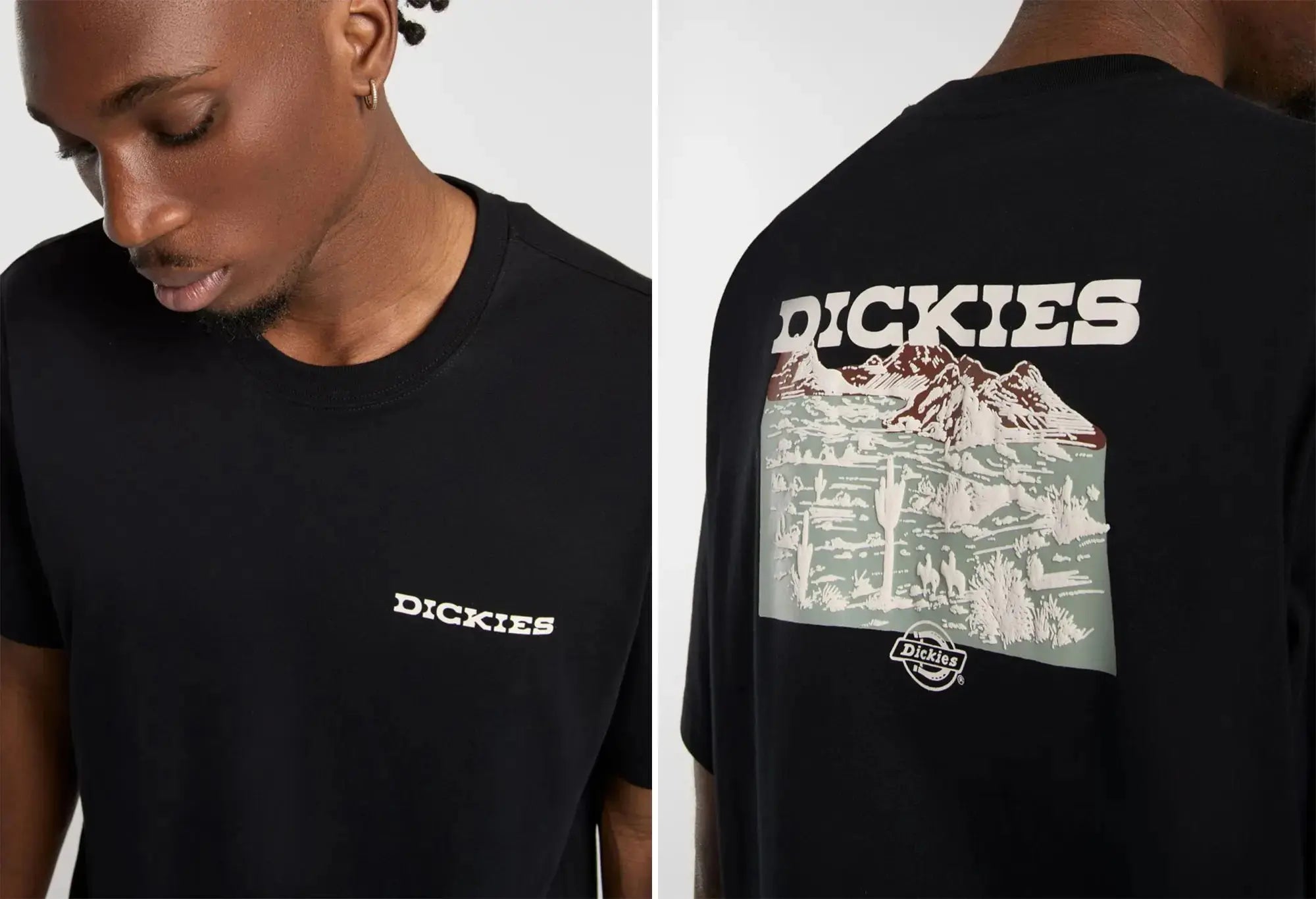 Dickies T-Shirt Landscape noir Dickies