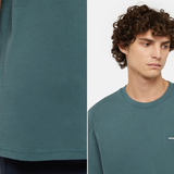 Dickies T-Shirt Clancy Heavyweight