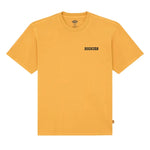 Dickies T-Shirt Darrtown SunFlower Dickies