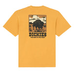 Dickies T-Shirt Darrtown SunFlower Dickies