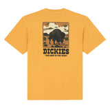 Dickies T-Shirt Darrtown SunFlower Dickies