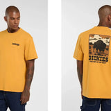 Dickies T-Shirt Darrtown SunFlower Dickies