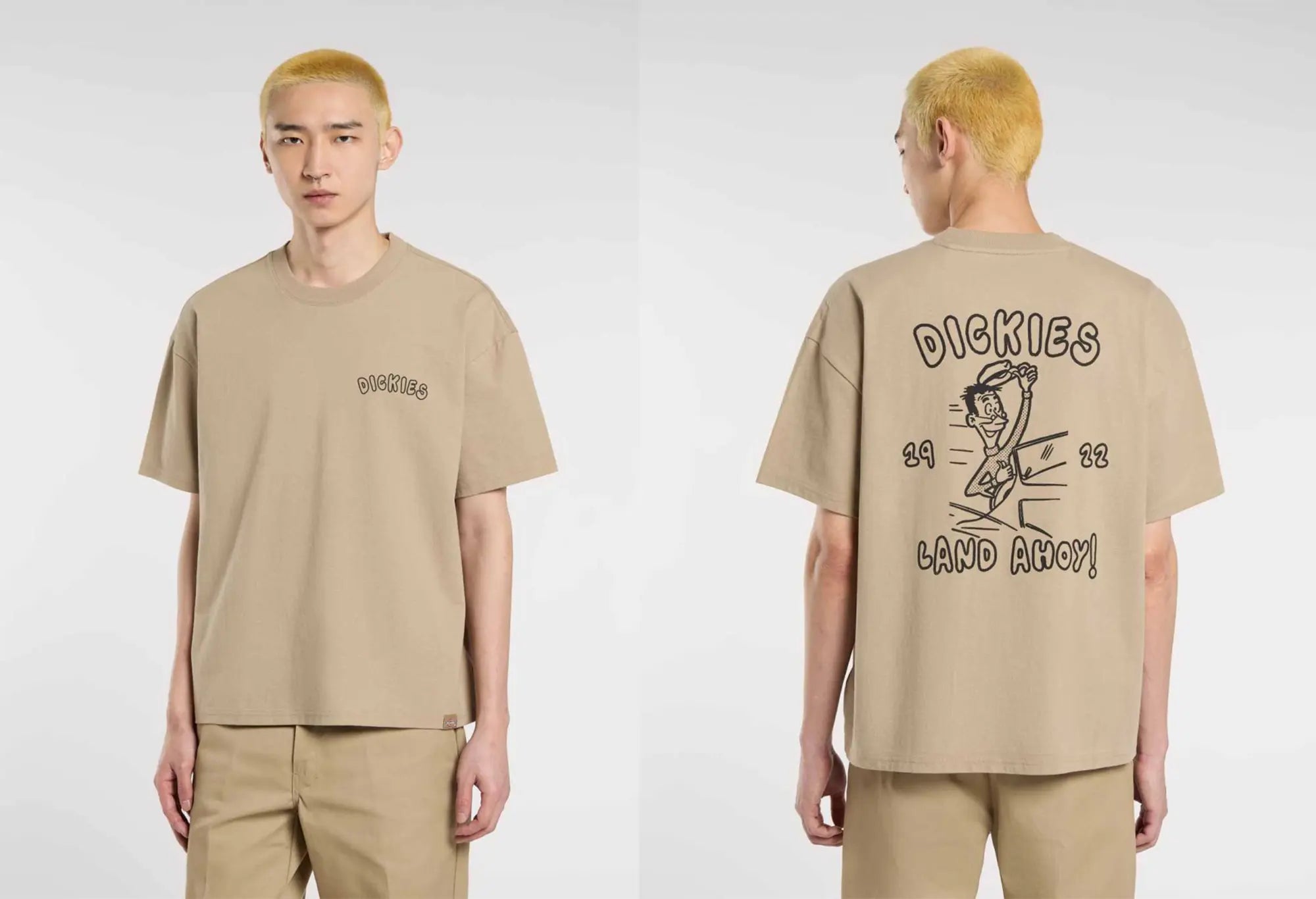 Dickies T-Shirt Decartuville Dickies