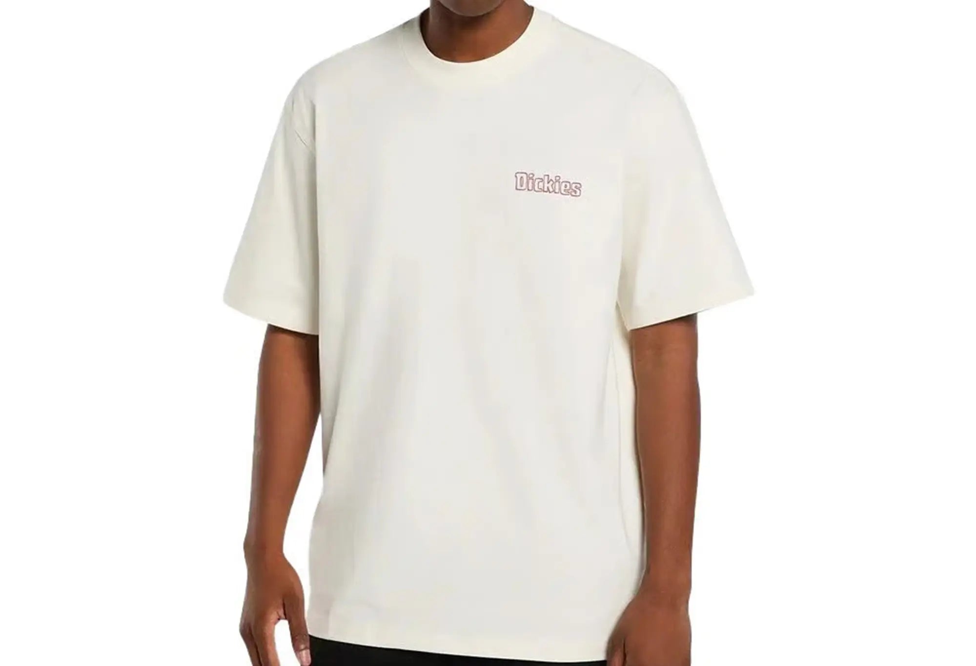 Dickies T-Shirt Fairlawn - Blanc Dickies