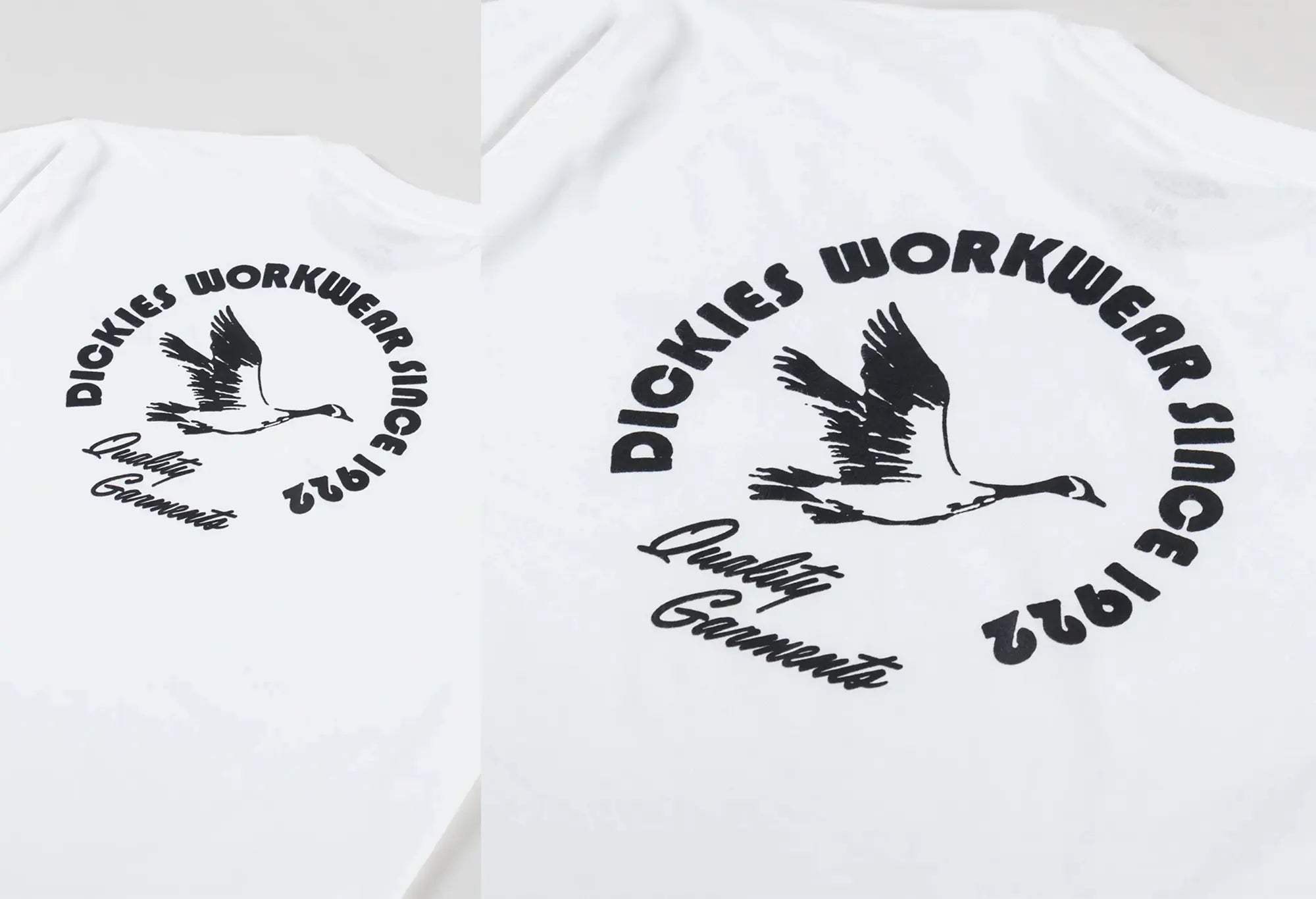 Dickies T-Shirt Goose Dickies