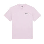 Dickies T-Shirt Statesville Dickies