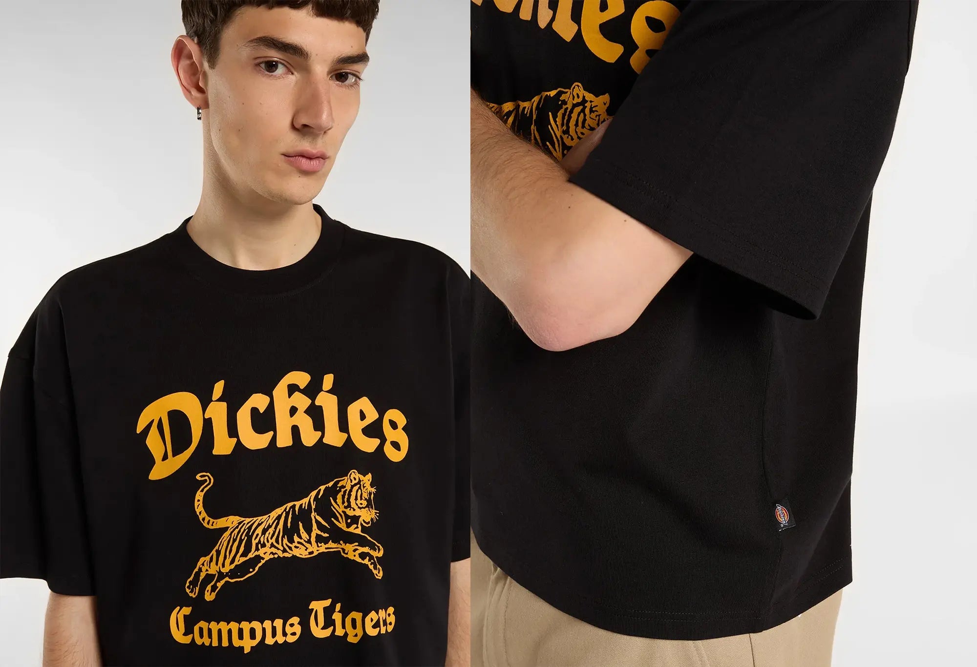 Dickies T-shirt Apalachicolsa - Noir Dickies