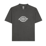Dickies T-shirt Plainville - Noir Dickies