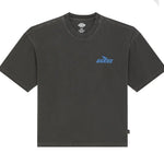 Dickies T-shirt Shonto - Noir Dickies