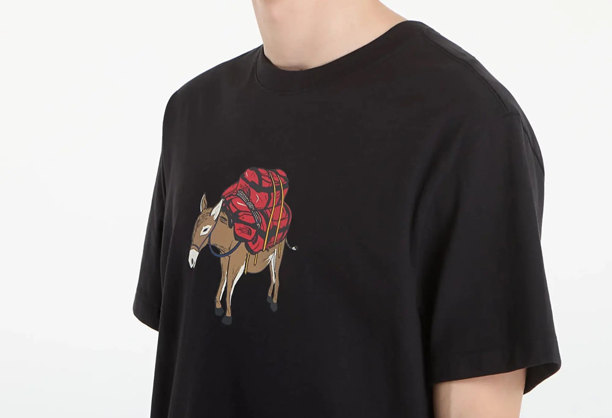 The North Face Donkey Taxi T-Shirt The North Face