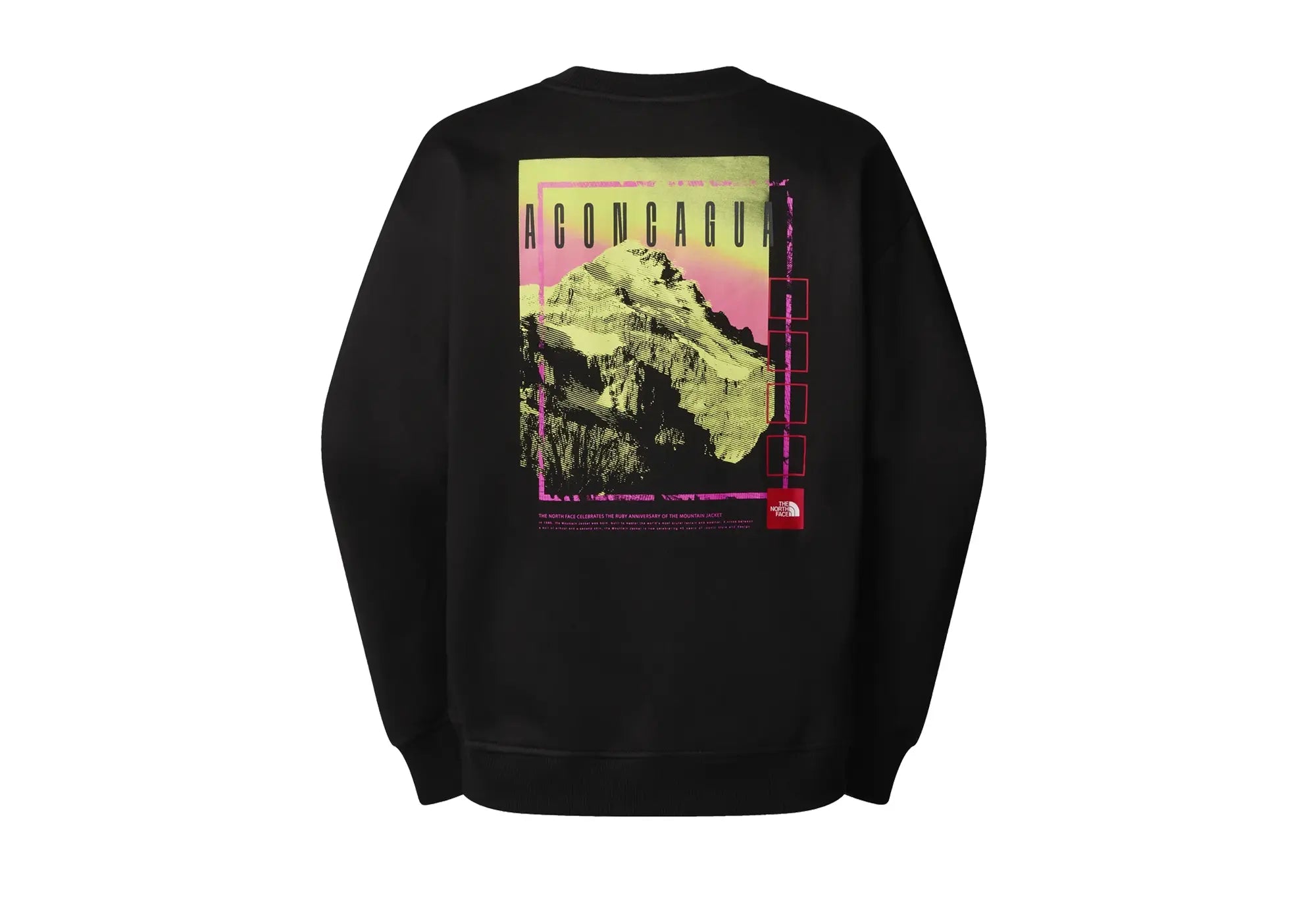The North Face Unisex Axys Oversized Crew The North Face