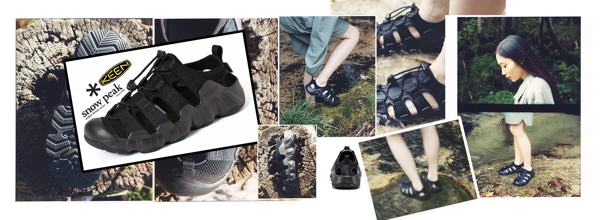 Image de diapositive