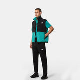 The North Face Denali Sleeveless Jacket